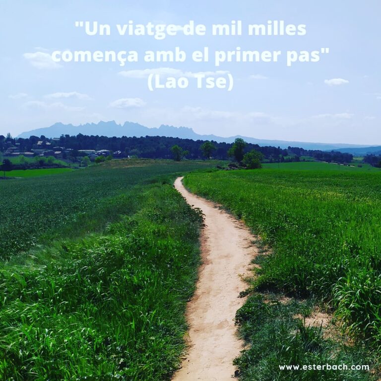 El primer pas | El primer paso