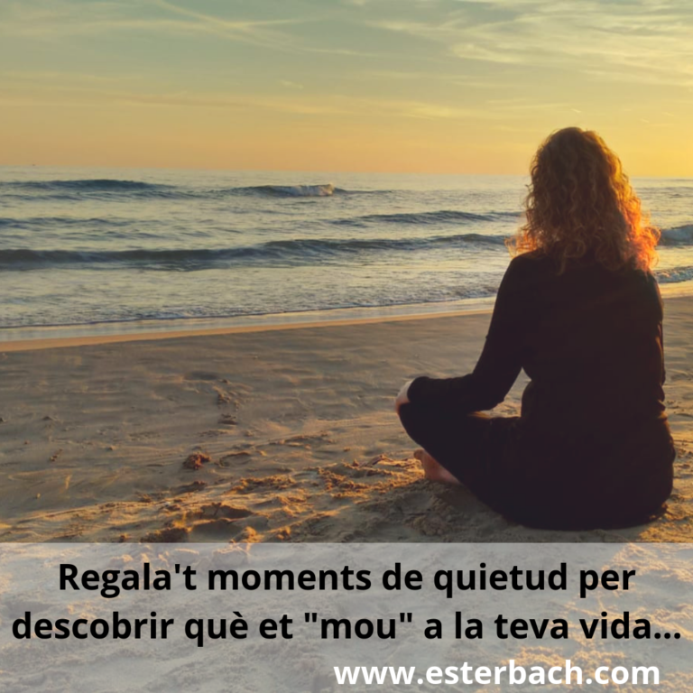 Quietud per descobrir-te | Quietud para descubrirte