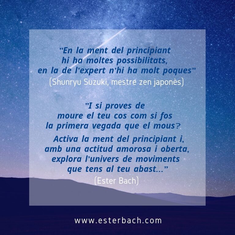 ment principiant