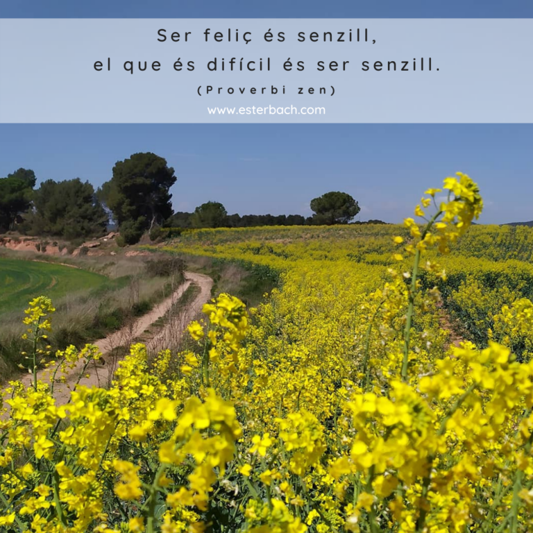 Connectar amb els ritmes de la natura |  Conectar con los ritmos de la naturaleza