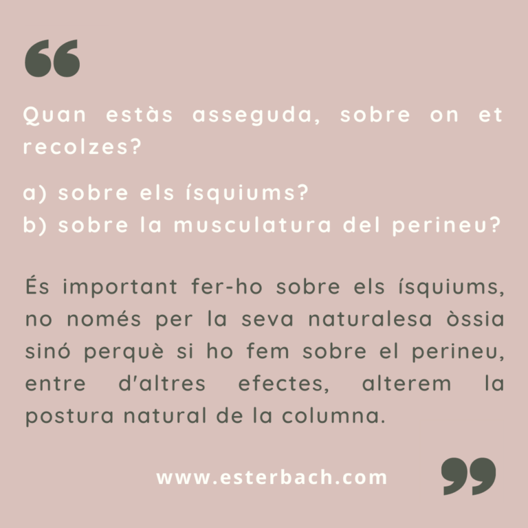 Sobre on et recolzes quan estàs asseguda?  |  ¿Sobre dónde te apoyas cuando estás sentada?