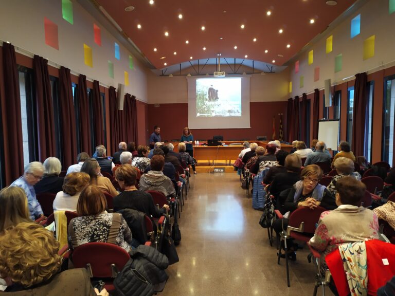 Sala d'actes del Consell Comarcal a Balaguer
